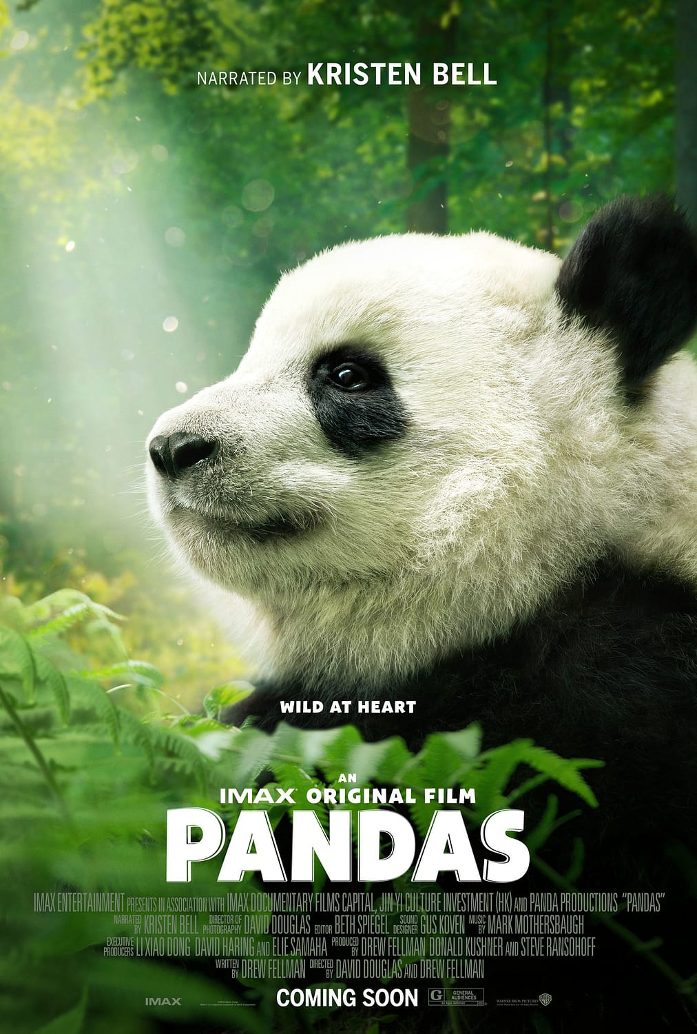 In the mountains of Sichuan, China, a researcher forms a bond with Qian Qian, a panda who is about to experience nature for the first time.Soundtrack : Sub Thai (ดูแล้ว)