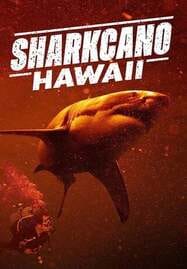 Sharkcano Hawaii (2023) ฉลามคาโน ฮาวาย