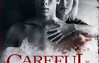 Careful What You Wish For (2015) 