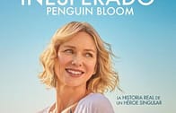 Penguin Bloom เพนกวิน บลูม (2020)